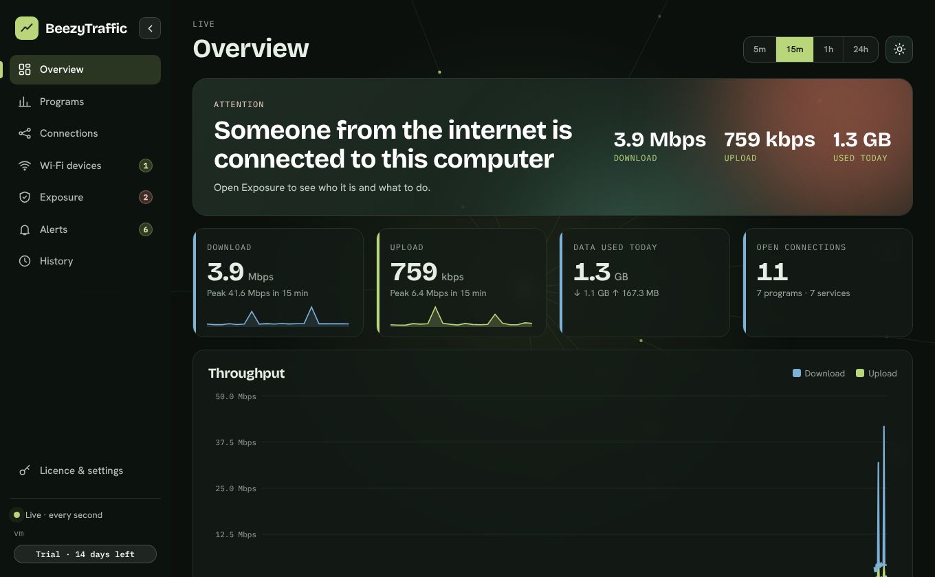 BeezyTraffic overview in dark mode